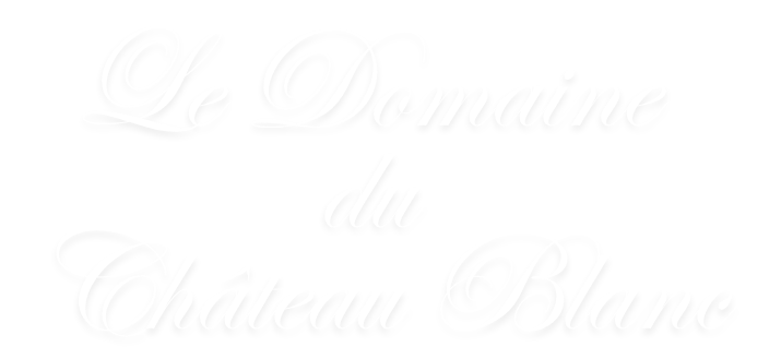 Votre texte de paragraphe 15 e1752236089277 | Le Domaine du Château Blanc, Vivez une Expérience Magique et Intemporelle